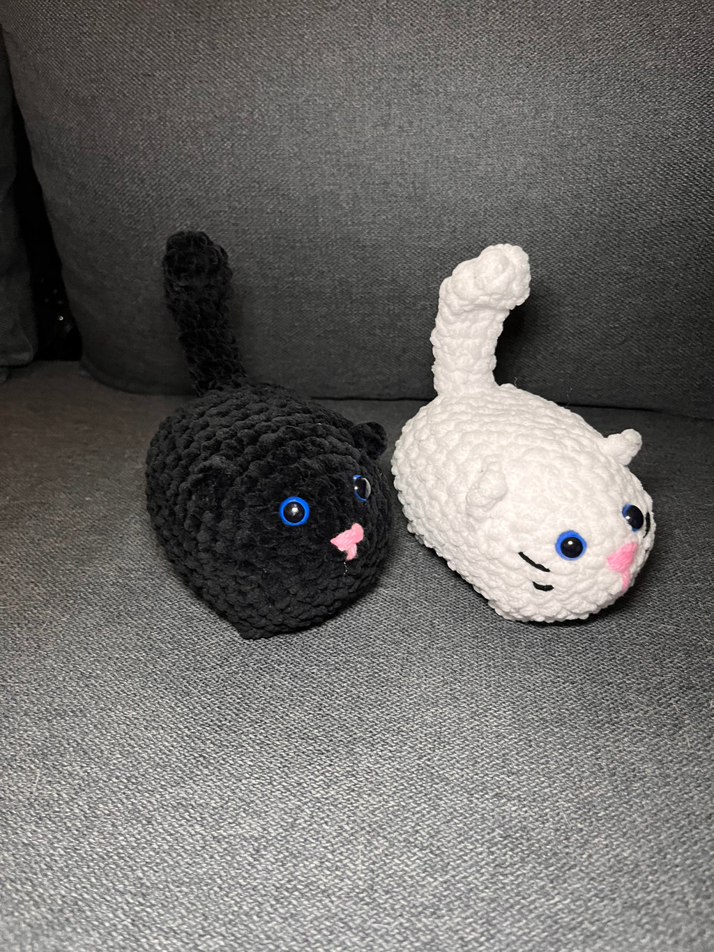 Katt