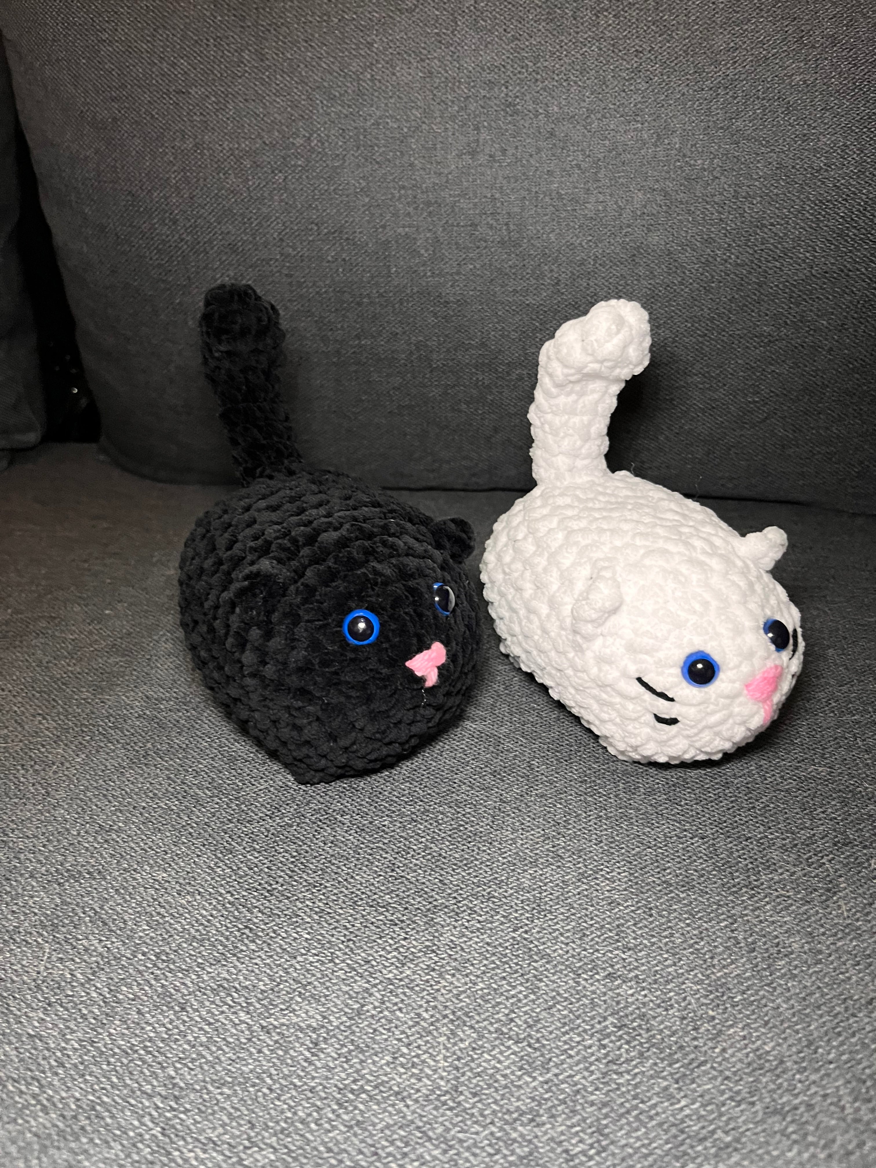 Katt