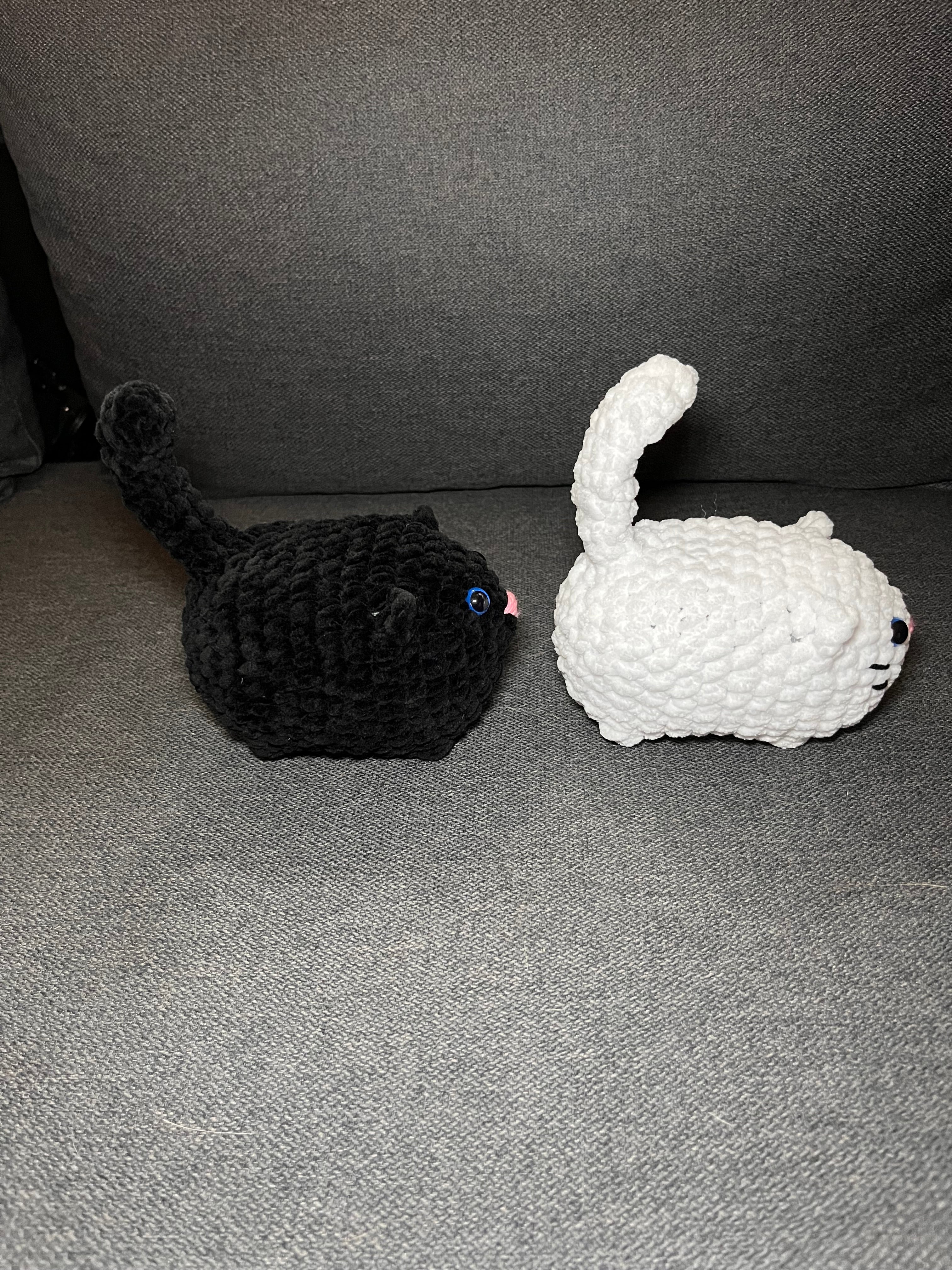 Katt