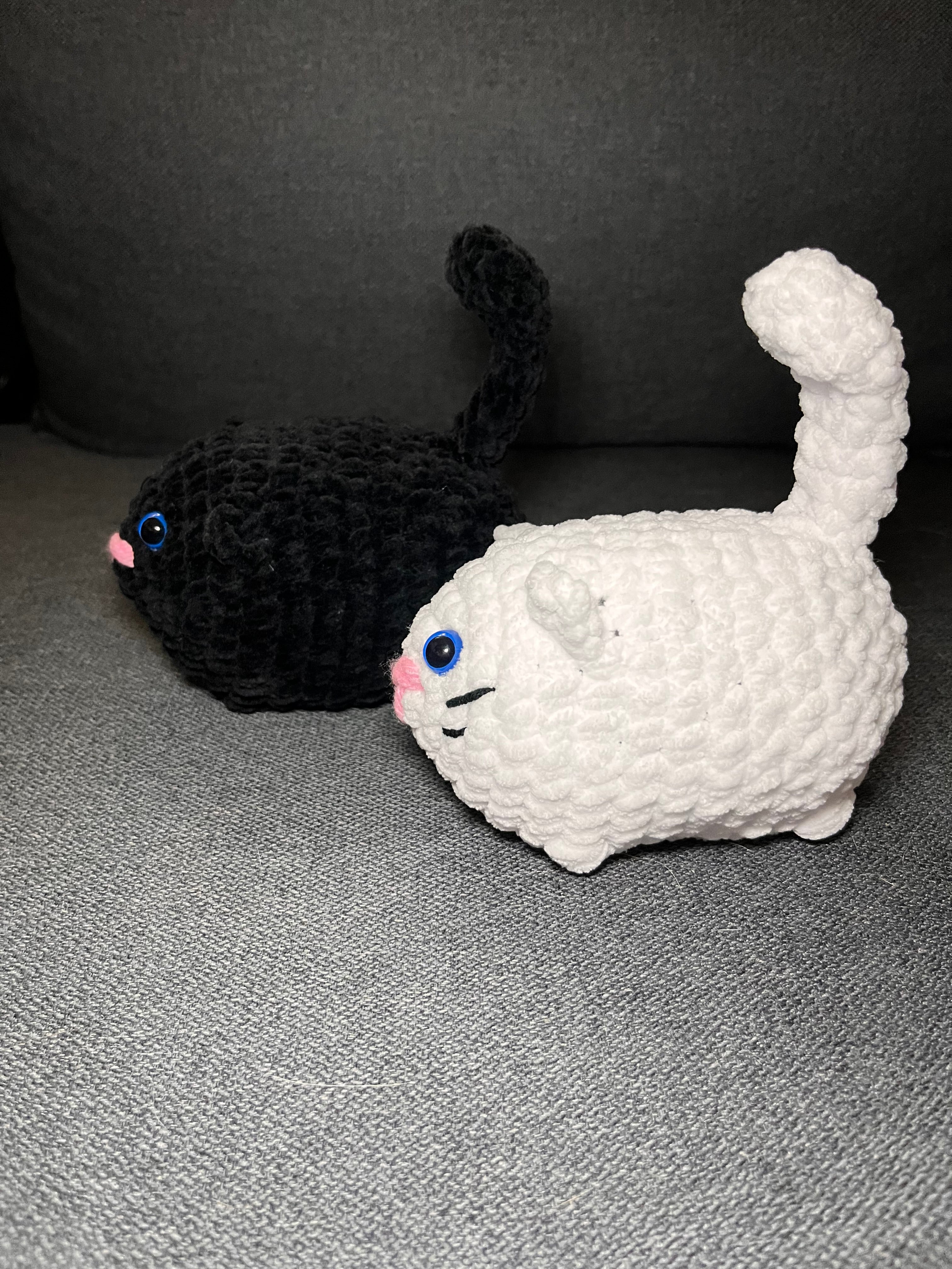 Katt
